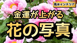 携帯の待ち受けにするだけで金運が上がる！金運アップの風水インテリア [upl. by Justinian]