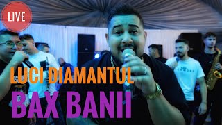 Luci Diamantul💰Bax Banii 🔴Live 2024LuciDiamantul [upl. by Lewej]