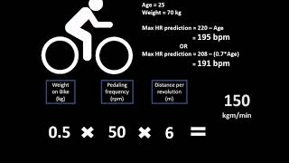 YMCA Protocol  Submaximal exercise test for predicting VO2max [upl. by Hoon41]