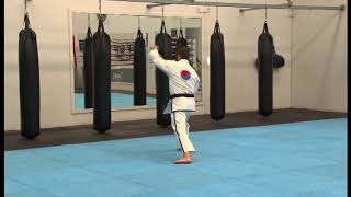 Grade 4 – Blue Belt Pattern – Joong Gun Rear View [upl. by Graubert193]