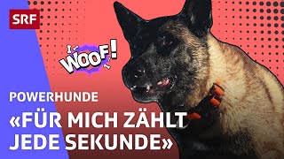 Eik Lawinensuchhund im Einsatz  Powerhunde  SRF Kids – Kindervideos [upl. by Ahker]