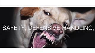 Aggression in Dogs Safety Defensive Handling and Training [upl. by Maxa]