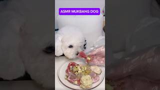 ASMR MUKBANG DOG  Phốc sóc được lộc ăn ngày mới dog animals asmr shorts phốcsócmini [upl. by Arrais298]