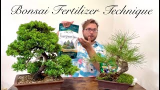 How to Fertilize a Bonsai Tree  One Easy Method [upl. by Derwon]