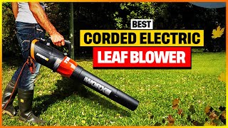 Best Corded Electric Leaf Blower Reviews 2024 Top 6 To Buy From Amazon [upl. by Heywood]