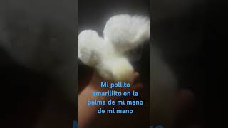 Mi pollito amarillito [upl. by Melton]