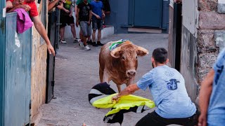 Toros tercera tarde Barrio SANT PERE  Toro de calle  Onda [upl. by Evets]