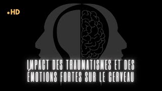 Impact des traumatismes et des émotions fortes sur le cerveau [upl. by Dey263]