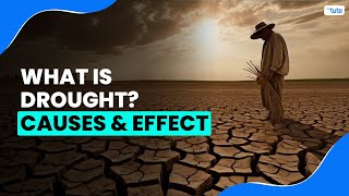 What is Drought  Causes amp Effects of Drought  Letstute [upl. by Ev]