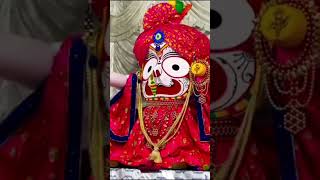 Jagannath Song Suna Pasara Mo Rupa Pasara Music Video  2024 [upl. by Ahtibat341]