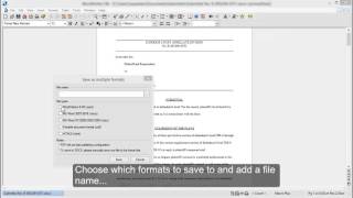 Saving in Multiple Formats [upl. by Eruza667]