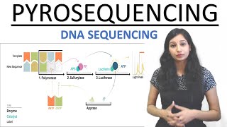 Pyrosequencing I DNA Sequencing I Tools amp Techniques  CSIRNET  GATE  IITJAM  DBT  GATB NEET [upl. by Aimar905]