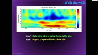 How to inspect timefrequency results [upl. by Darcey704]