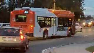 TTC MiWay Buses Trucks and Cars Mix for the period 913212024 [upl. by Atneuqal]