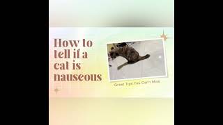 Nausea in Cats  How to tell if a cat is nauseousteeth grindinglicking of lipspawing at mouth [upl. by Ahsaeyt]