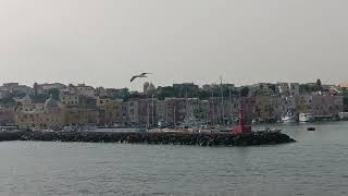 Procida Italia [upl. by Ahsia]