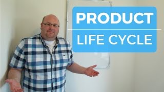 A level Business Revision  Product Life Cycle [upl. by Heilner]