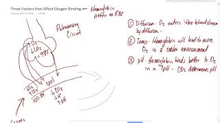 Three Factors That Affect Oxygen Binding to Hemoglobin [upl. by Krystyna720]