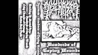 Dyscrasia  Hundreds Of Gaping Wounds  2011  Full Demo [upl. by Aivun]