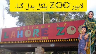 Enjoy weekend  Lahore Zoo  renovated Lahore Zoo  Wildlife Park In Lahore Pakistan  QIBTIA Fatima [upl. by Mcleroy924]