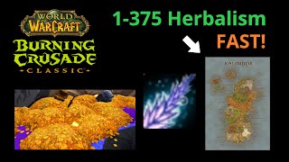 TBC Classic Guide 1375 Herbalism 8 hours  Kalimdor Route [upl. by Kassity]