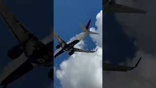 Delta Airlines Plane Landing [upl. by Sheffield]