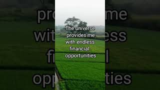 WEALTH AWAITS You in 30 Days with These MONEY AFFIRMATIONS [upl. by Tebor]