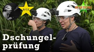 Leyla ERNEUT bei Dschungelprüfung quotReparaTorturquot ⭐️  Dschungelcamp 2024 [upl. by Abdul]