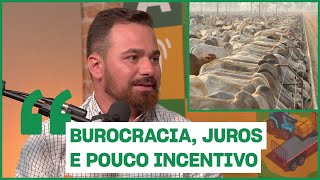 Pecuária no Brasil é rentável cortes agro360 podcast [upl. by Fanestil]