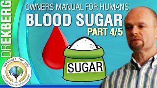 Blood Sugar Explained Pt5 45 User Manual For Humans [upl. by Latvina]