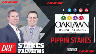 Pippin Stakes Preview 2022 [upl. by Atnauq849]