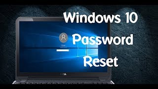 Reset HP Laptop Password Windows 10 EasilyNo System RestorationNo Data Loss [upl. by Acimad]