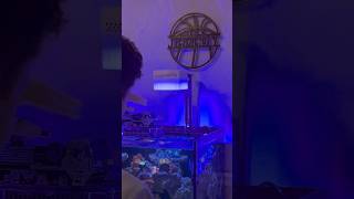 Here is what I feed my saltwater aquarium  Reef 🪸 [upl. by Remos]