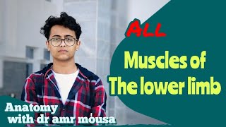 All Muscles of the Lower limb شرح كامل Anatomy  Dramrmousa [upl. by Einaej]