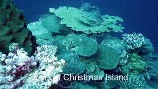 Walls of Christmas Island one of Australias Indian Ocean Islands [upl. by Anyrb]