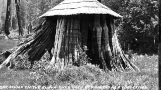 Stump Houses of Washington [upl. by Puttergill771]