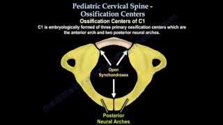 Pediatric Cervical Spine Ossification Centers  Everything You Need To Know  Dr Nabil Ebraheim [upl. by Anihtyc]