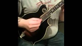 Shawn Brock plays Red Wing on The Loar LM 500 VS mandolin [upl. by Ellett]