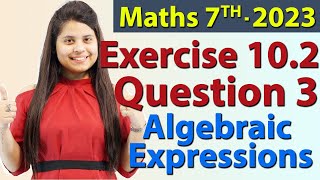 Q 3 Ex 102  Algebraic Expressions  Chapter 10  Maths Class 7th  NCERT New Syllabus 2023 CBSE [upl. by Elleinnad]