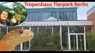 The reopened tropical house in Tierpark Berlin [upl. by Ohaus]