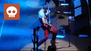 Flea Drum Part 2007 Hump De Bump by Red Hot Chili Peppers LIVE HD ☆ BIG FESTIVAL GUIDE [upl. by Nico50]