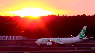 NEW LIVERY Transavia France TO3986 Boeing 7378K2 FGZHE landing at Berlin Tegel airport [upl. by Rettig]