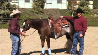 Bob Avila Saddle Pads [upl. by Kcirderfla]