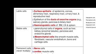 Neoplasms part 1 12 10 24 [upl. by Ailehc513]