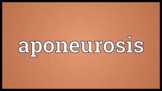 Aponeurosis Meaning [upl. by Eenolem]