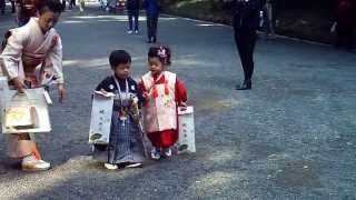 Japanese kids dressed in traditional kimonos  very cute [upl. by Naeerb]