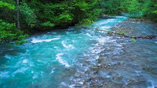 Calming Sound of Turquoise Mountain River Nature Sounds Flowing Water White Noise for Sleeping [upl. by Ayeka435]