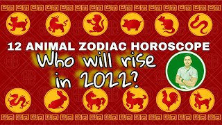 2022 CHINESE ZODIAC HOROSCOPE  12 ZODIAC ANIMAL FORECAST FOR THE YEAR OF THE TIGER  LUCKY COLOR [upl. by Rozanna]