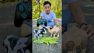 Remote control Cow🐄And Rc Camel Unboxing🔥 [upl. by Llerehs]