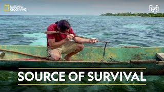 Source of Survival  Primal Survivor  हिन्दी  National Geographic [upl. by Abner849]